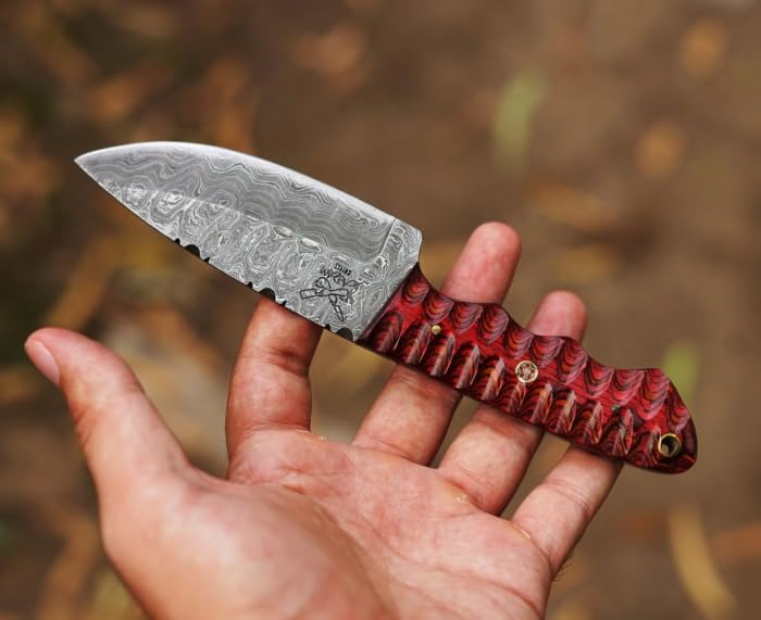 ADAM KNIVES Fixed Blade Damascus Steel Hunting Knife with Leather Sheath, 8'' Full Tang Hunting Skinning Knife,Camping Knife for Hiking,Survival Gift (Maroon Color Wood)