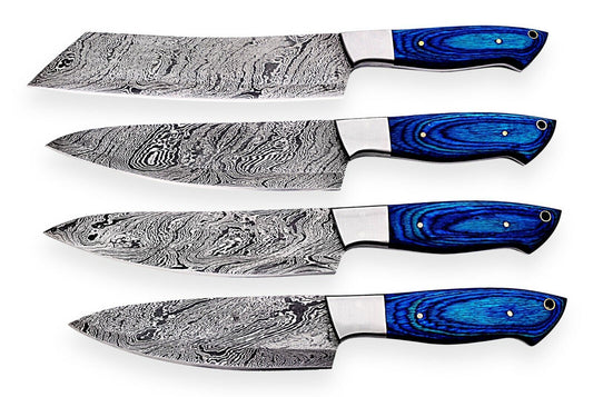 Custom Hand made Damascus Steel Kitchen/ BBQ / Chef Knives 4 Pcs. Set FR-2021107