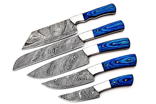 Custom Hand made Damascus Steel Kitchen / BBQ / Chef Knives 5 Pc Set FR-2001142