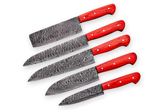 Custom Hand made Damascus Steel Kitchen / BBQ / Chef Knives 5 Pc Set FR-20021111